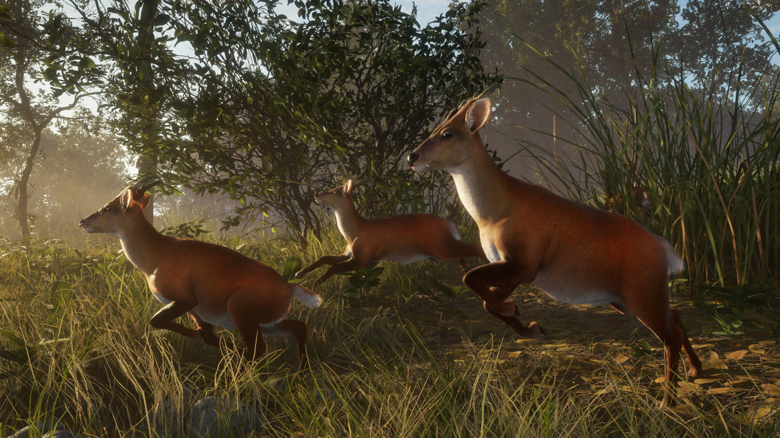 Sundarpatan Nepal Hunting Reserve-DLC