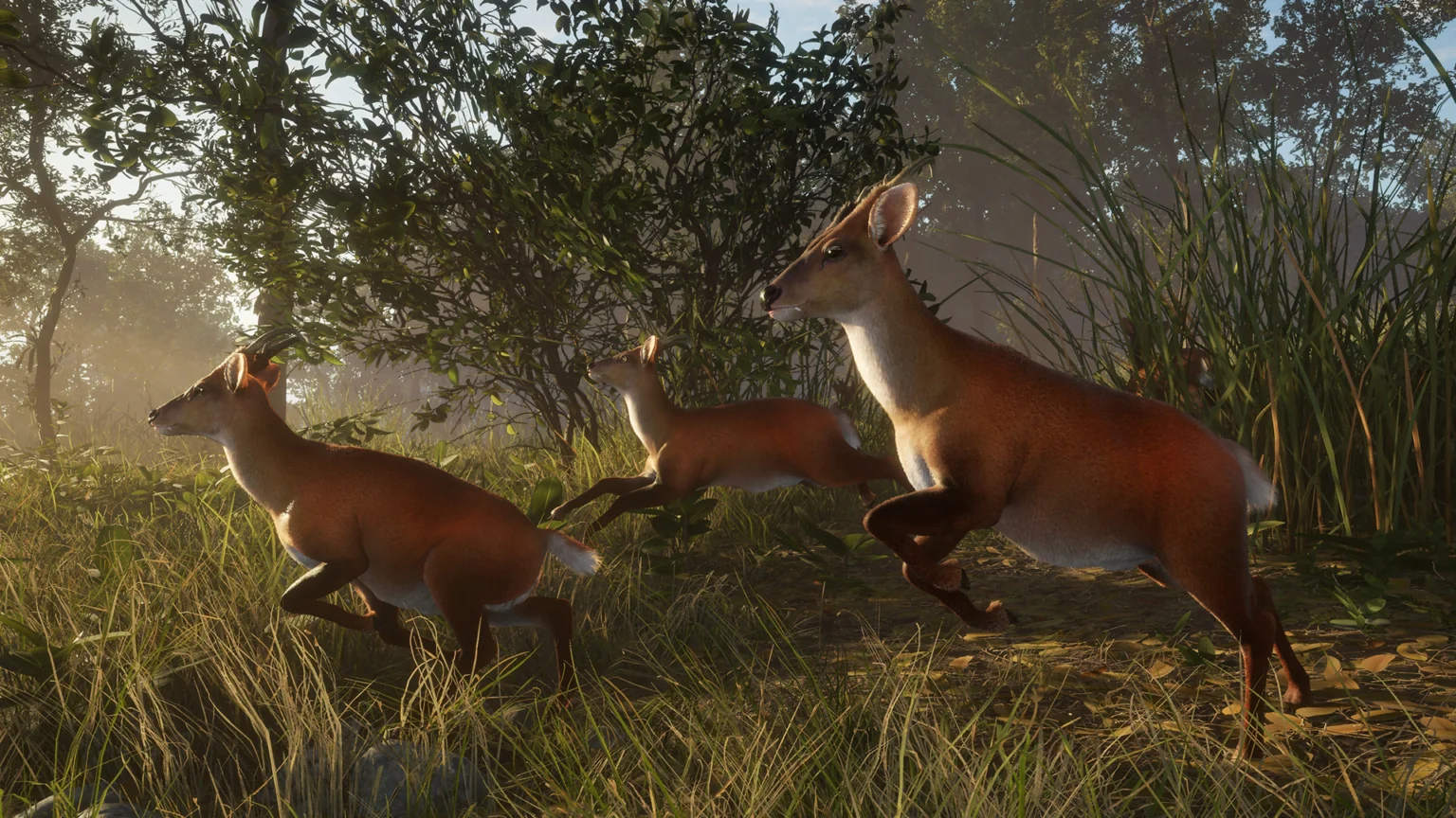 Sundarpatan Nepal Hunting Reserve-DLC